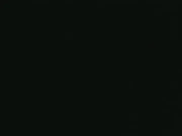 whitehead_lion Image 13