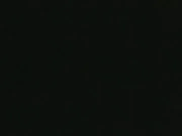 whitehead_lion Image 14