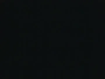 whitehead_lion Image 17